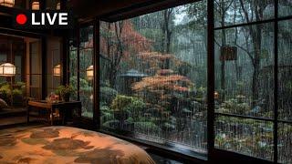 NATURAL RAIN for Sleep & Relaxing & Studying | Rain sound for sleeping