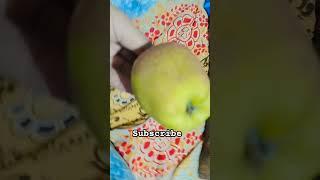 apple  kamudi kha #newsong #love #music #simplelove #shortsfeed #trending #viral