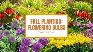 Fall Planting: 6 Flowering Bulbs You'll Love 