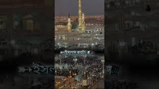  #madina_ @Eyakubali866 ?#madina_ ?