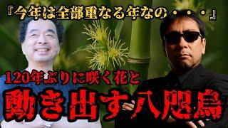【保江邦夫×三上丈晴】120年ぶりに咲く花、現人神が降臨する120年周期の禁忌の儀式｜2025年、八咫烏が動き出す【都市伝説ミステリー】