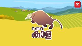 ചെമ്പൻകാള | Chempankala | Children's Rhymes in Malayalam | Malayalam Rhymes | Manorama Online