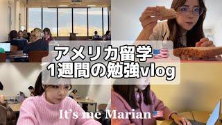 【勉強vlog】アメリカ留学生のリアル！1週間の勉強ルーティン