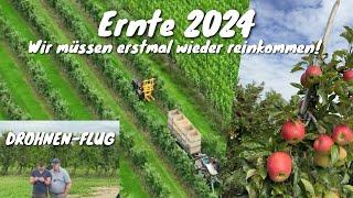 Obsthof Raddatz - Wir müssen erstmal wieder reinkommen | Ernte 2024 | Drohnen-Flug über die Anlagen