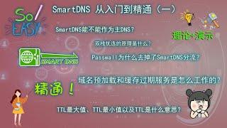 openwrt系列第六期：SmartDNS从入门到精通（一）