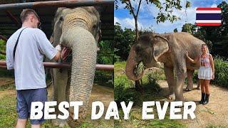 BEST Elephant Sanctuary in Phuket 2024 | MUST-SEE in Thailand 