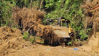 MILLION-DOLLAR DOZER CAT D6R XL! How Land Clearing Creates BIG PROFITS!