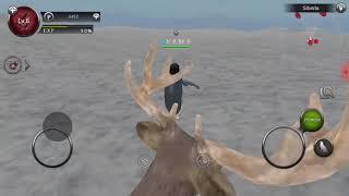 Wild animals online penguin simulator