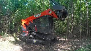 Forestry Mulching near a swamp - Day 1