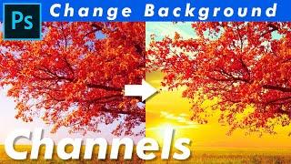 Remove Background with Channels Photoshop cc SMK Grafix