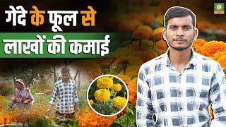 Marigold Farming में कैसे पाएं बड़ा मुनाफा? | गेंदे की खेती से बनें लखपति  #kisansamvadtv