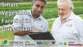 Smart Vegetable Farming in Queensland