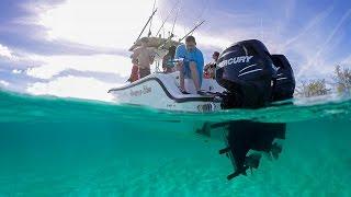 Swimming with sea turtles in Nassau Bahamas