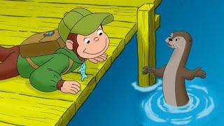 George Befriends a Baby Otter  Curious George  Animal Friends