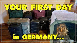 American's First Day in Germany New Military PCS Arrival to Frankfurt with Pets