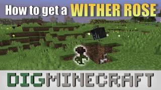 How to get a Wither Rose in Minecraft