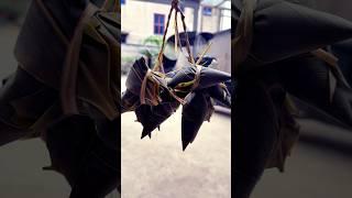 Dragon Boat Festival Vibes: Family Fun Wrapping Zongzi Together #festival #food #shorts#special