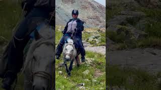 Horseback Adventure tour in Altai mountains #mountains #mongoliatravel #mongoliaexpeditions