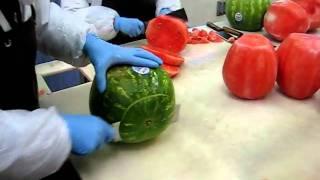 Processing watermelon