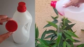 Como Fazer Regador de Plantas Caseiro com Garrafa de Amaciante #diy
