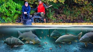 Underwater Pole Fishing Masterclass with Bennett & Ringer!