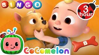 Who's A Good Boy?! BINGO  CoComelon - Nursery Rhymes and Kids Songs | 3 HOURS | After School Club