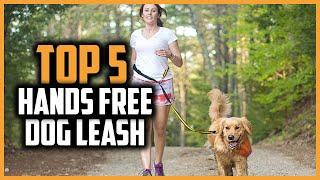 Top 5 Best Hands Free Dog Leash of 2024