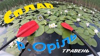 Сплав по річці Оріль 2021