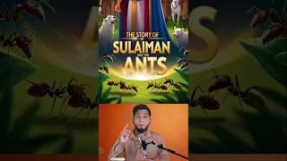  Speaking Ants - Quran  Proved | Islam & Science Facts  | @LEETVNetwork