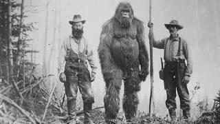 Bigfoot Is REAL? The Proof That Will Leave You Speechless