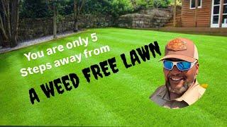 "Top 5 Must-Do Tips to Prevent Lawn Weeds in 2025 | Bermuda Grass Edition"