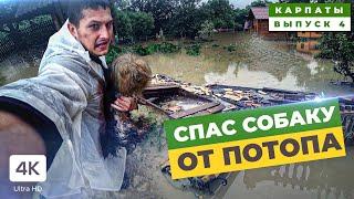  Saved the Dog from the Flood. Consequences of the Disaster 2020.  Flooding in the Carpathians.