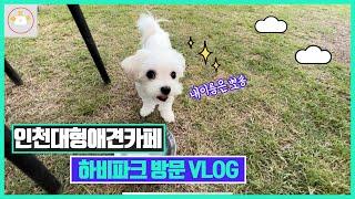 Vlog 인천애견카페 하비파크 방문기 | 인천대공원 | 인천애견카페 | 댕댕이 | 말티푸 | 뽀숑이 | 주말데이트