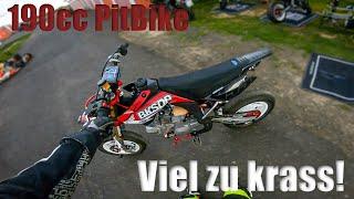 YCF190 Racing PitBike | Erster Eindruck | Viel zu krass für mich!