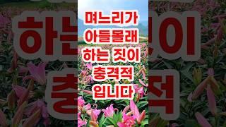 며느리가 아들몰래 하는짓이 충격적입니다