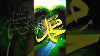 #allahhuakbar #love #mohammadi #islamicphrase