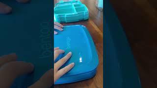 Kid's Bentgo Lunch Box Review - Is It Worth It?