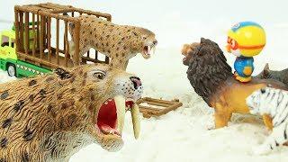 검치호랑이 구출작전 장난감 뽀로로 공룡 트럭 사자 코뿔소 동물 친구들 특공대 Saber toothed cat tiger Toys