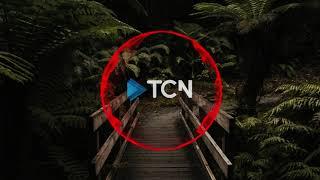 Pascal Letoublon - Friendships (Lost My Love) ft. Leony [TCN Music]