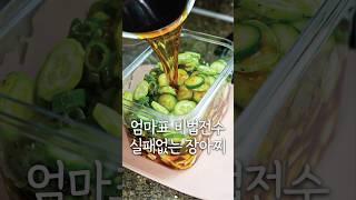 엄마표 비법전수  실패없는 장아찌