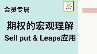 【会员视频限时公开】期权的宏观理解 及 Sell put & Leaps的实例应用