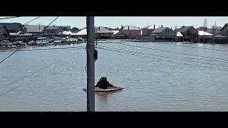 ВОДА УХОДИТ. ЖК ПРИУРАЛЬЕ ОРЕНБУРГ
