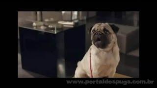 mBank: "Crédito Por Telefone" - Comercial de TV - Propaganda com Pug