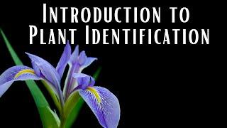 Introduction to Plant Identification