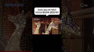 인스타 감성 사진 맛집 #shorts #성탄절 #크리스마스