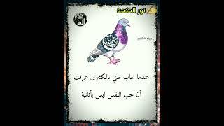 حكم وامثال واقوال عن الحياة |اجمل ماقيل عن الحياه #حكمة_اليوم #اقوال #امثال #تحفيز #حكم