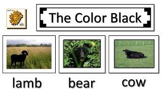 Learn the Color Black / The Color Black song / The Color B-l-a-c-k Song