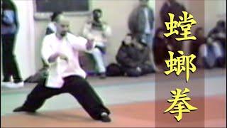 螳螂拳 Tang lang Quan MANTIS 1995