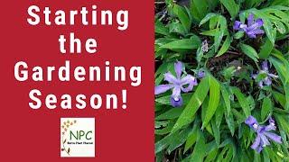 What's happening in the spring garden!