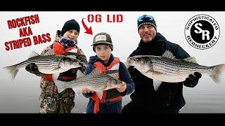 CHASING MONSTER STRIPED BASS in the foggy abyss